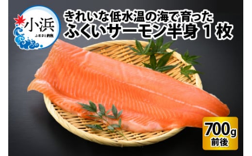 国産 ふくいサーモン 半身1枚 700g