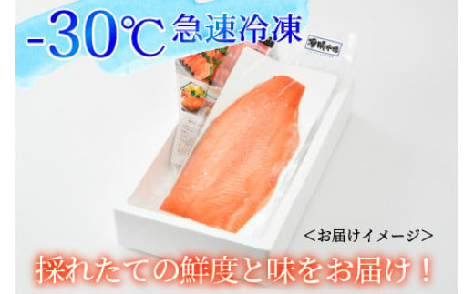 国産 ふくいサーモン 半身1枚 700g