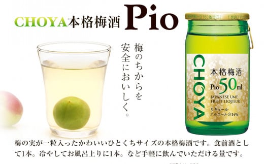 本格梅酒 Pio 飲みきりサイズ 50ml 60本 羽曳野商工振興株式会社《30日以内に出荷予定(土日祝除く)》大阪府 羽曳野市 梅酒 梅 酒 CHOYA チョーヤ チョーヤ梅酒 お酒 pio