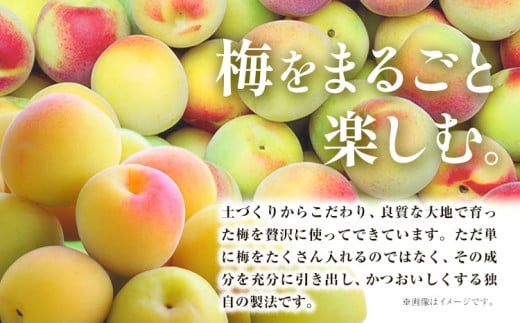 本格梅酒 Pio 飲みきりサイズ 50ml 60本 羽曳野商工振興株式会社《30日以内に出荷予定(土日祝除く)》大阪府 羽曳野市 梅酒 梅 酒 CHOYA チョーヤ チョーヤ梅酒 お酒 pio