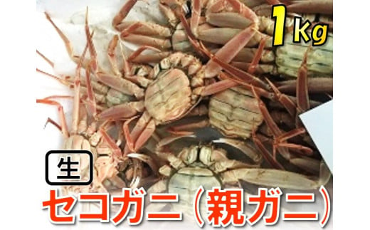 1118【魚倉】活お任せセコガニ 1kgセット