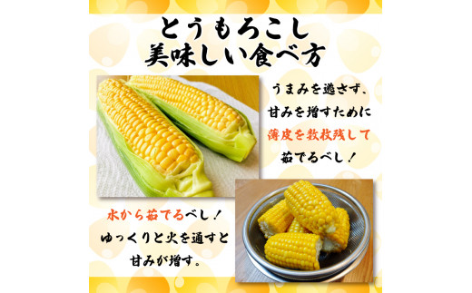 【 先行予約 】 とうもろこし スイートコーン おおもの  約 5kg 《2024年6月～順次発送》 野菜 サラダ 新鮮 キャンプ バーベキュー 特産物 生産者直送 徳島県 阿波市 四国