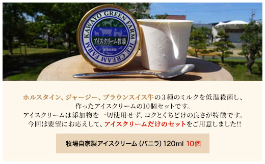 カワヨグリーン牧場自家製バニラアイス10個セット ふるさと納税 人気 おすすめ ランキング 10個 セット アイスクリーム アイス バニラ バニラアイス 人気 牧場 ミルク ホルスタイン ジャージー ブラウンスイス牛 バニラのみ おいらせ 青森 ブランド認定品 青森県 おいらせ町 送料無料 OIR103