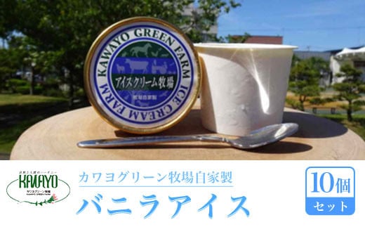 カワヨグリーン牧場自家製バニラアイス10個セット ふるさと納税 人気 おすすめ ランキング 10個 セット アイスクリーム アイス バニラ バニラアイス 人気 牧場 ミルク ホルスタイン ジャージー ブラウンスイス牛 バニラのみ おいらせ 青森 ブランド認定品 青森県 おいらせ町 送料無料 OIR103