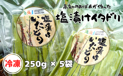 冷凍塩漬けイタドリ 250ｇ×5セット 高知県産 いたどり イタドリ