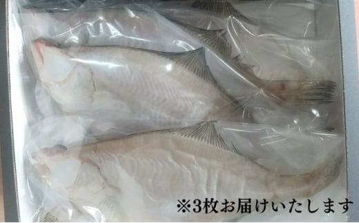 【ふるさと納税】特大エテカレイ 一夜干し 3枚 魚貝類 魚 地魚 一夜干し エテカレイ カレイ 大きめ 干物 ひもの セット 冷凍 個包装 [№5716-0467]