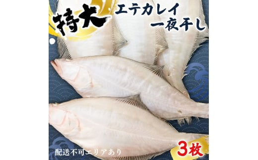 【ふるさと納税】特大エテカレイ 一夜干し 3枚 魚貝類 魚 地魚 一夜干し エテカレイ カレイ 大きめ 干物 ひもの セット 冷凍 個包装 [№5716-0467]