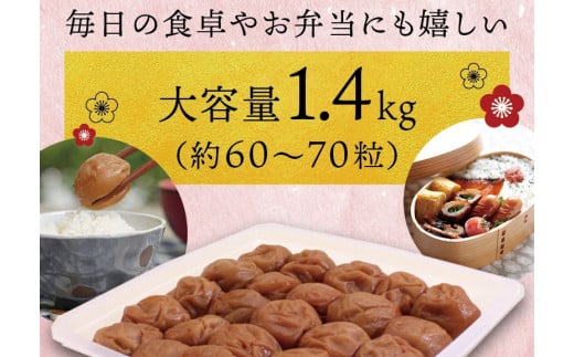 最高級紀州南高梅・大粒はちみつ梅干し 1.4kg【ご家庭用】【inm100A】