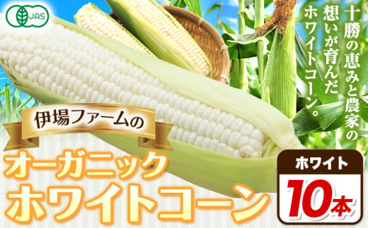 オーガニック ホワイトコーン 10本 伊場ファーム 北海道十勝浦幌町産 朝もぎたて とうもろこし 旬の時期にお届け 朝採り【2025年8月下旬-9月中旬より順次出荷】