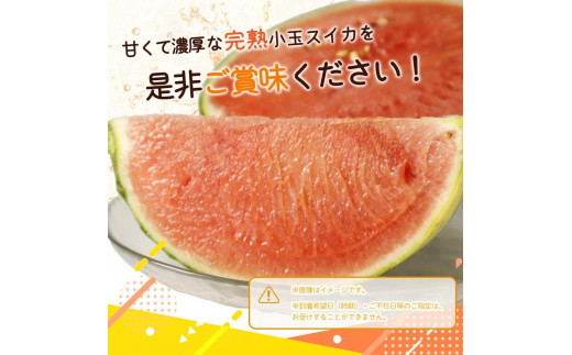 紀州和歌山産 小玉スイカ「ひとりじめ」 2玉【2025年6月上旬頃～2025年6月下旬頃に順次発送】【UT86】