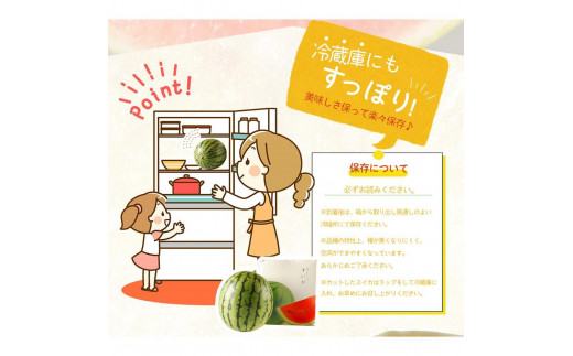 紀州和歌山産 小玉スイカ「ひとりじめ」 2玉【2025年6月上旬頃～2025年6月下旬頃に順次発送】【UT86】