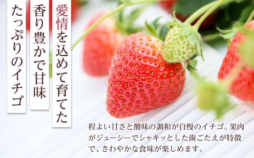 岡山市産「ゆめのか」12～15粒 450g×1パック 贈答用 化粧箱入り＜北海道・沖縄県・離島配送不可＞