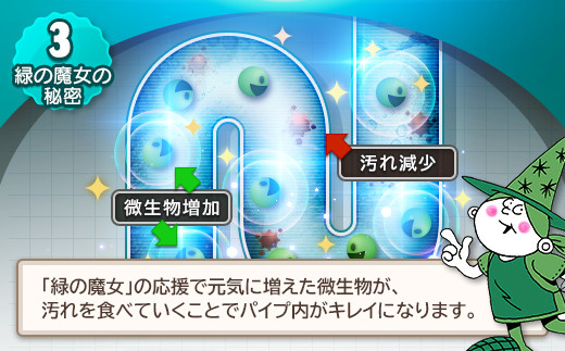 緑の魔女トイレ5L×1本 洗剤+パイプクリーナーの機能化 次世代型環境配慮型洗剤 業務用 | 茨城県 龍ケ崎市洗剤 液体 環境配慮トイレ用 黄ばみ 黒ずみ 大容量 安全 中性タイプ 日常品 トイレ クリーナー お掃除 そうじ 赤カビ 業務用 店舗用 詰め替え 大容量 