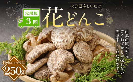 【3ヶ月定期便】大分産しいたけ花どんこ 250g 合計750g