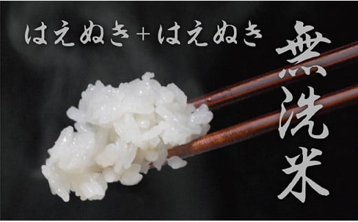 無洗米 はえぬき 令和6年産 10kg（5kg×2袋） 2024年産 山形県 朝日町産 精米 米 こめ コメ