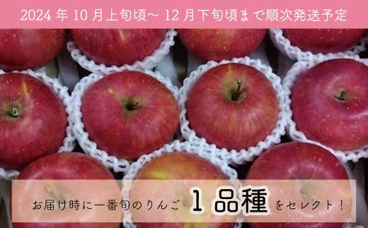 [No.5657-3940]【品種おまかせ】家庭用りんご 1段詰め 約5kg （約18～23玉）《ナカジマ農園》 ■2024年発送■※10月上旬頃～12月下旬頃まで順次発送予定　