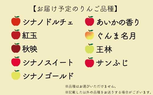 [No.5657-3940]【品種おまかせ】家庭用りんご 1段詰め 約5kg （約18～23玉）《ナカジマ農園》 ■2024年発送■※10月上旬頃～12月下旬頃まで順次発送予定　