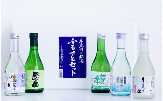 糸魚川の地酒 飲み比べセット（300ml×5本）根知男山・謙信・月不見の池・雪鶴・加賀の井 地酒で乾杯セット 生貯蔵酒 ギフト 日本酒 新潟 日本酒ビギナーにもおすすめ 冷酒