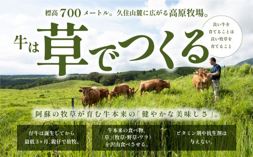 【NHKあさイチで紹介されました！】くまもとあか牛 焼肉セット　赤身肉+カルビ(150g×4パック)＜産山村産＞