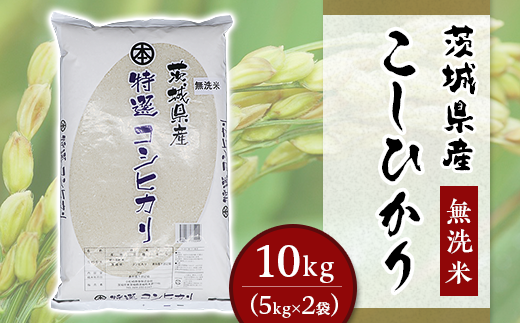 こしひかり 無洗米 10kg 小松崎商事 茨城県産 令和6年 252