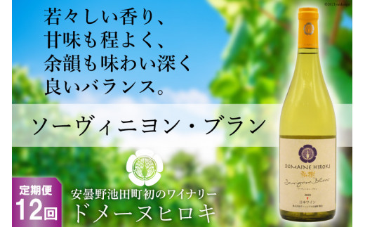 【12回定期便】ソーヴィニヨン・ブラン 750ml×1本＜ヴィニョブル安曇野 DOMAINE HIROKI＞【長野県池田町】