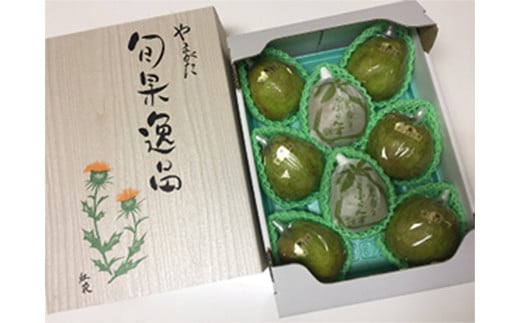 山形県産 厳選ラ・フランス 特秀品 3kg 化粧箱（8～10玉入り）《2024年10月末発送開始》  なし ナシ 梨 デザート フルーツ 果物 くだもの 果実 食品 山形県 FSY-1356