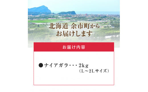 【2024年9月中旬以降発送】フルーツ王国余市産「ナイアガラ」2kg