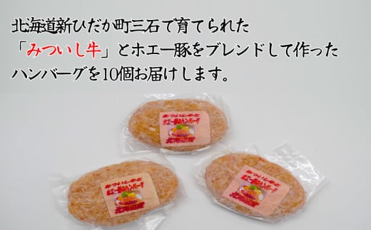 北海道産 黒毛和牛 みついし牛 と ホエー豚 ハンバーグ 計 1kg （ 100g × 10個 ） 和牛 三石牛 合い挽き ハンバーグステーキ セット 