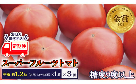 糖度9度以上 トマト 【 2025年収穫分 先行予約 】 【 定期便 】 スーパーフルーツトマト 中箱 約1.2kg×1箱×3回 お届け！ 糖度9度以上 フルーツトマト トマト 2025年2月上旬発送開始 とまと 野菜 [BC049sa]