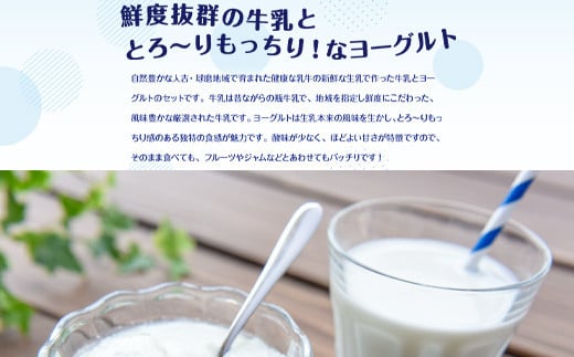 球磨酪農おすすめセットA（瓶牛乳&ヨーグルト加糖・砂糖不使用）