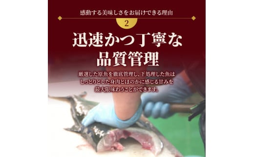 【冷蔵】延岡産活〆鮮魚職人技の脱血鮮魚真鯛１尾分（内臓エラ取り） N019-YZA476