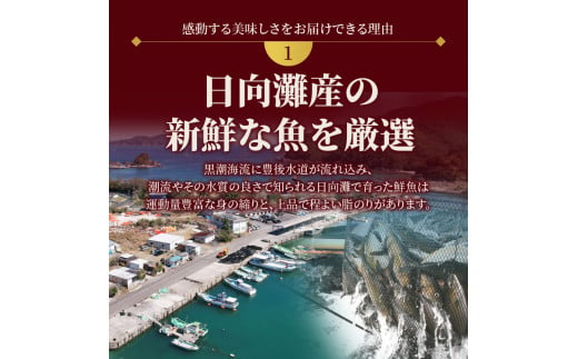 【冷蔵】延岡産活〆鮮魚職人技の脱血鮮魚真鯛１尾分（内臓エラ取り） N019-YZA476