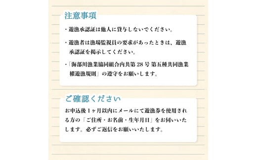 海部川漁協遊漁券  年券 １名分 アユ アマゴ 釣り 