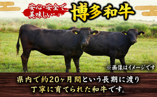 【全3回定期便】A4～A5等級 博多和牛 特選ロース 薄切り 1kg 牛肉 ステーキ お歳暮 お中元 贈答用 サーロイン 赤身 父の日 母の日 敬老の日 広川町 / 久田精肉店株式会社 [AFBV051]