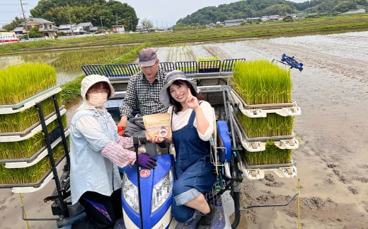 「古代三色発酵玄米」レトルト【2食入りパック＋4食入りパック】