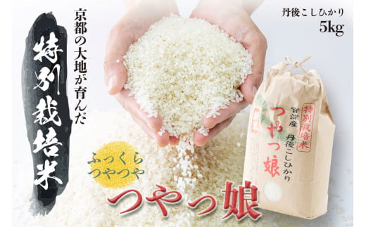 令和6年産 特別栽培米つやっ娘米 5kg 丹後こしひかり お米 米 ご飯 コシヒカリ つやっ娘 丹後 宮津 京都 海の京都 特別栽培米 新米 グルメ [№5716-0247]