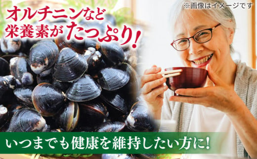 【砂抜き不要】お湯をそそぐだけ！宍道湖産しじみのみそ汁1食用×30袋セット 島根県松江市/平野醤油 [ALCA005]