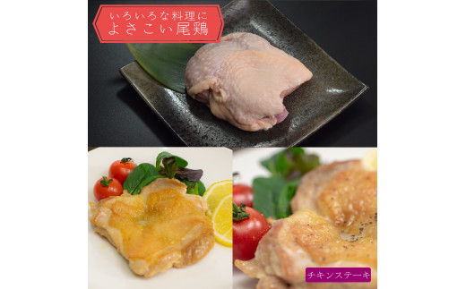 【定期便 12回】よさこい尾鶏 もも肉（200g×5パック）