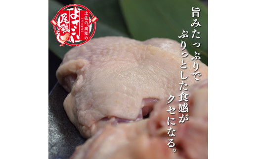 【定期便 12回】よさこい尾鶏 もも肉（200g×5パック）