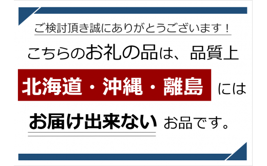 あんず（信州サワー）2㎏