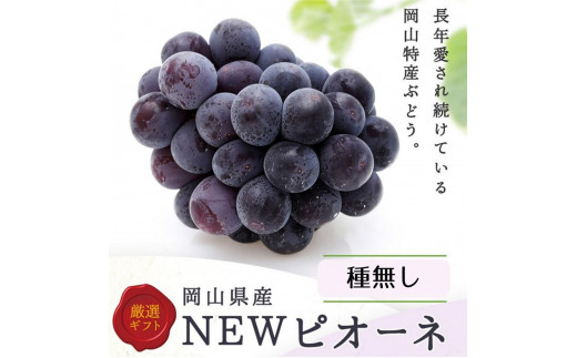 ぶどう 2025年 先行予約 岡山県産 ぼっけえ大粒！ ピオーネ 1房 800g以上 化粧箱入り