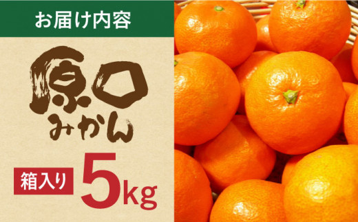 【数量限定】原口みかん 5kg 長崎県/長崎ダイヤモンドスタッフ [42AABL001] みかん 5kg 甘い 長崎 大粒 原口