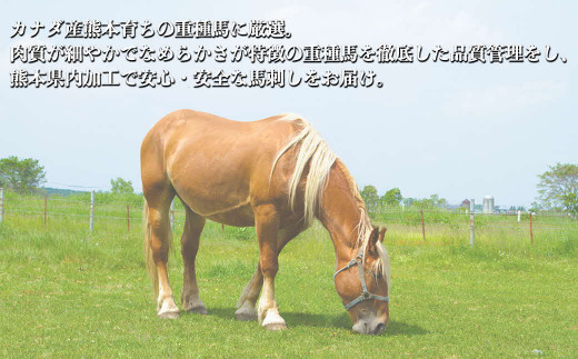 117-29　オアシス九州　【熊本県内と畜】 馬刺し 赤身 400g 県内肥育 馬肉 ブロック おつまみ 冷凍