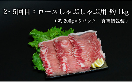 【6回定期便 総計6kg】 ありたぶた 豚ロースバラエティ定期便 6回お届け 定期便 小分け 真空パック 豚肉 ロース とんかつ しゃぶしゃぶ 生姜焼き N60-6