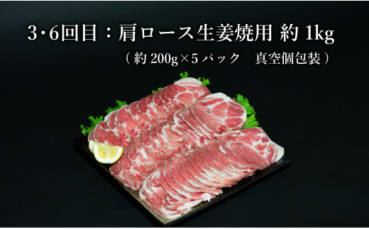 【6回定期便 総計6kg】 ありたぶた 豚ロースバラエティ定期便 6回お届け 定期便 小分け 真空パック 豚肉 ロース とんかつ しゃぶしゃぶ 生姜焼き N60-6