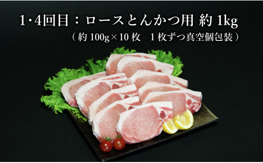 【6回定期便 総計6kg】 ありたぶた 豚ロースバラエティ定期便 6回お届け 定期便 小分け 真空パック 豚肉 ロース とんかつ しゃぶしゃぶ 生姜焼き N60-6