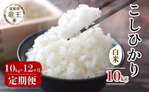 【 先行予約 】令和6年産 新米 予約 こしひかり 白米 10kg 定期便 12ヶ月 コシヒカリ 定期 12か月  10kg × 12回 計 120kg 米 滋賀県 竜王町 国産 農家直送 特別栽培米 コシヒカリ  2024年産 国産 農家直送 環境こだわり お米 こめ おこめ 産地直送 送料無料