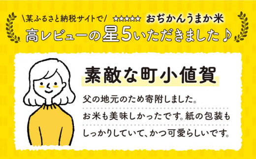 【11/30入金まで年内発送】【令和6年度産新米】【3kg】おぢかんうまか米（小値賀町産こしひかり 3kg ・精白米） [DAB010] コシヒカリ こしひかり お米 常温 新米