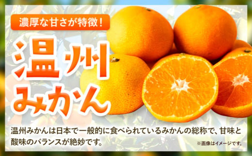 みかん 温州みかん 厳選 5kg サイズ混合 GOGO農園《11月上旬-1月中旬頃出荷》 和歌山県 日高川町 うんしゅうみかん みかん 柑橘 蜜柑 フルーツ 送料無料