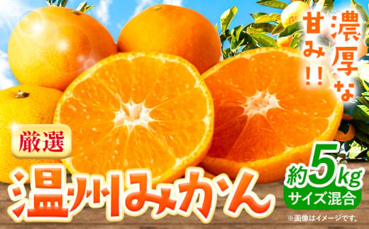 みかん 温州みかん 厳選 5kg サイズ混合 GOGO農園《11月上旬-1月中旬頃出荷》 和歌山県 日高川町 うんしゅうみかん みかん 柑橘 蜜柑 フルーツ 送料無料